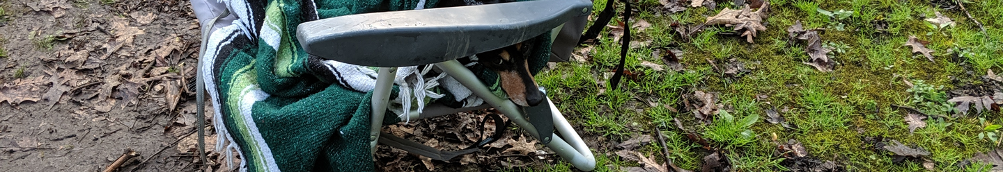 Winnie in her camping chair