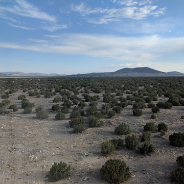 route66