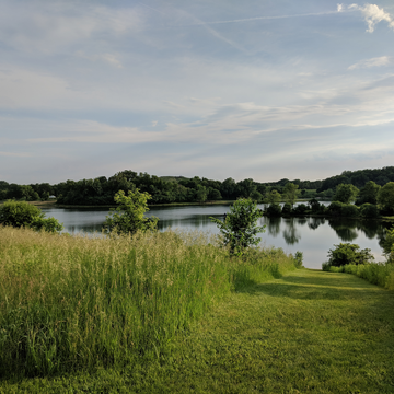 Blackwell Forest Preserve view of Silver Lake and the surrounding shorelines