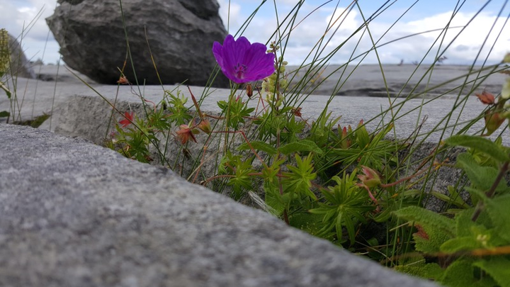 ireland